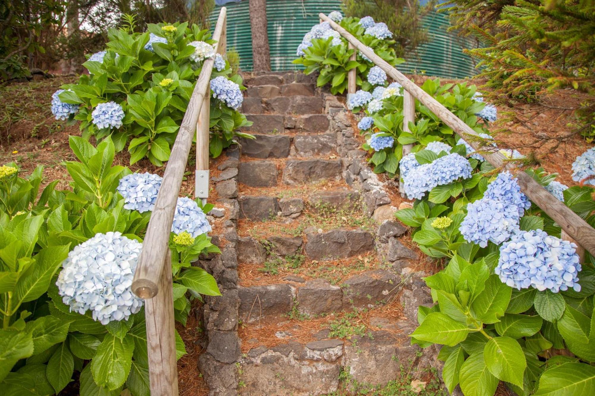 Quinta Do Santo By Lovelystay Santo Antonio da Serra Exterior photo